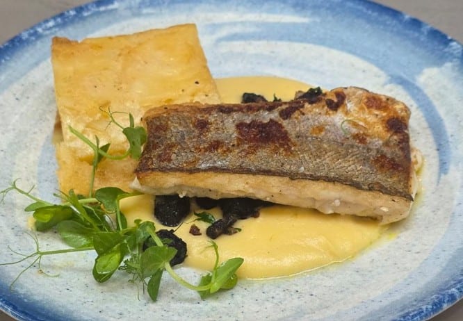 Pan Fried Hake with potato gratin.